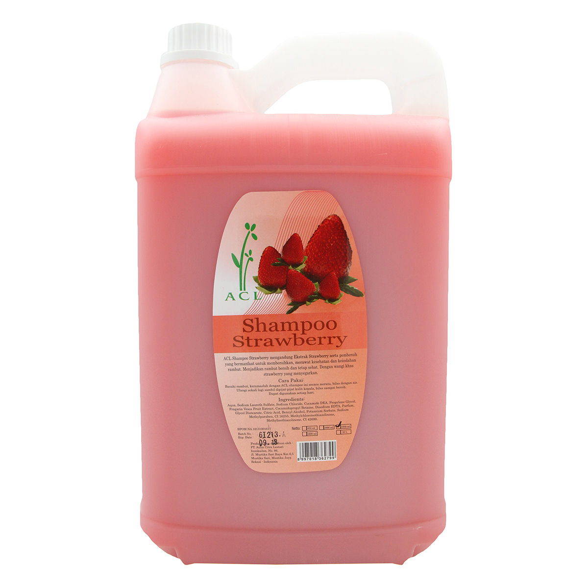 ACL - Shampoo Strawberry (5000 ml)_sfw (1)