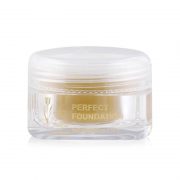 Perfect-Foundation-light-natural-sfw (2)